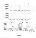 Fig. 09 - Drimenol synthases I