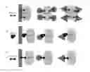 Fig. 01 - METHOD FOR IN VITRO TRANSCRIPTION USING AN IMMOBILIZED RESTRICTION ENZYME