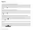 Fig. 07 - METHOD FOR IN VITRO TRANSCRIPTION USING AN IMMOBILIZED RESTRICTION ENZYME