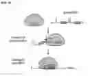 Fig. 03 - Methods and compositions for detecting a target RNA