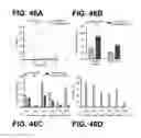Fig. 53 - Methods and compositions for detecting a target RNA