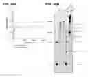 Fig. 55 - Methods and compositions for detecting a target RNA