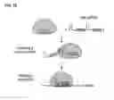 Fig. 03 - Methods and compositions for detecting a target RNA