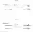 Fig. 02 - Genotyping by polymerase binding