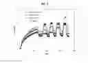 Fig. 06 - Genotyping by polymerase binding