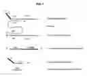 Fig. 02 - Methods and compositions for nucleic acid amplification