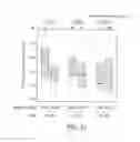 Fig. 13 - Method for evaluating physical conditions, method for presenting information, and method for screening for substance capable of improving or preventing physical conditions