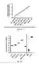 Fig. 04 - System, method and kit for analysis of circulating differentially methylated DNA as a biomarker of beta-cell loss