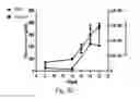 Fig. 06 - System, method and kit for analysis of circulating differentially methylated DNA as a biomarker of beta-cell loss