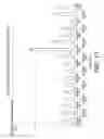 Fig. 15 - METHODS, COMPOSITIONS, AND DEVICES UTILIZING MicroRNA TO DETERMINE PHYSIOLOGICAL CONDITIONS