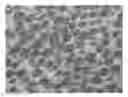 Fig. 01 - Wolfram carbide based hard alloy and its preparation method