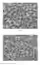 Fig. 02 - Wolfram carbide based hard alloy and its preparation method