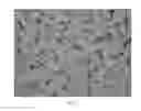 Fig. 03 - Wolfram carbide based hard alloy and its preparation method