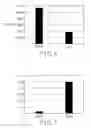 Fig. 07 - WOVEN BRUSHED ELASTIC FABRIC AND METHOD OF MAKING THE SAME