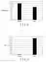 Fig. 08 - WOVEN BRUSHED ELASTIC FABRIC AND METHOD OF MAKING THE SAME