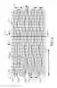 Fig. 04 - Three-dimensional papermaking belt