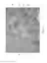 Fig. 06 - Layered fibrous structures