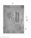 Fig. 07 - Layered fibrous structures