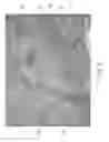 Fig. 06 - Multi-ply fibrous structures