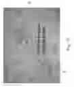 Fig. 07 - Multi-ply fibrous structures