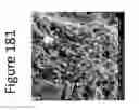 Fig. 182 - Method for modifying clay soils with gypsum