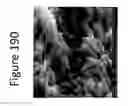 Fig. 191 - Method for modifying clay soils with gypsum