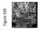 Fig. 196 - Method for modifying clay soils with gypsum