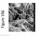Fig. 197 - Method for modifying clay soils with gypsum
