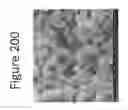 Fig. 201 - Method for modifying clay soils with gypsum