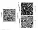 Fig. 207 - Method for modifying clay soils with gypsum