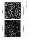 Fig. 210 - Method for modifying clay soils with gypsum