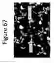 Fig. 68 - Method for modifying clay soils with gypsum