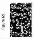 Fig. 70 - Method for modifying clay soils with gypsum