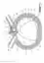 Fig. 02 - Rotary internal combustion engine with pilot subchamber and ignition element