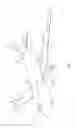 Fig. 02 - Dual inline valve with manual override