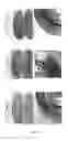 Fig. 06 - METHODS FOR THE PREPARATION OF A FRICTION MATERIAL AND FOR THE MANUFACTURING OF A BRAKE PAD USING SUCH FRICTION MATERIAL AND ASSOCIATED BRAKE PAD