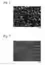 Fig. 02 - Piston ring and its production method