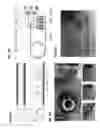 Fig. 40 - Peristaltic micropump and related systems and methods