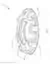 Fig. 08 - Accessory mount