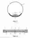 Fig. 03 - Lighting device, luminaire and lighting device assembly method