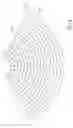 Fig. 09 - CLOAK-SHAPED NET MESH DECORATIVE LIGHTING STRING