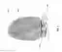 Fig. 02 - LIGHTING FIXTURE