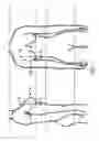 Fig. 02 - Apparatus and related methods of measuring breast cup size for garments that support breast