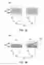 Fig. 03 - Pressure sensor and manufacturing method thereof