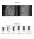 Fig. 02 - PH DISTRIBUTION MEASUREMENT IN A POROUS MATERIAL MICRO-STRUCTURE METHOD AND APPARATUS
