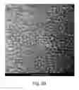Fig. 06 - DETECTION MODULE