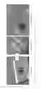 Fig. 43 - Muscle chips and methods of use thereof