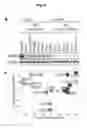 Fig. 09 - Modulation of hepatitis B virus replication