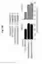 Fig. 49 - Modulation of hepatitis B virus replication