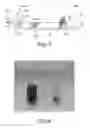 Fig. 04 - Resin-platinum composite and usage thereof